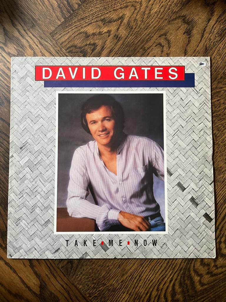 David Gates - Take me now, Ophalen of Verzenden, Zo goed als nieuw, 12 inch