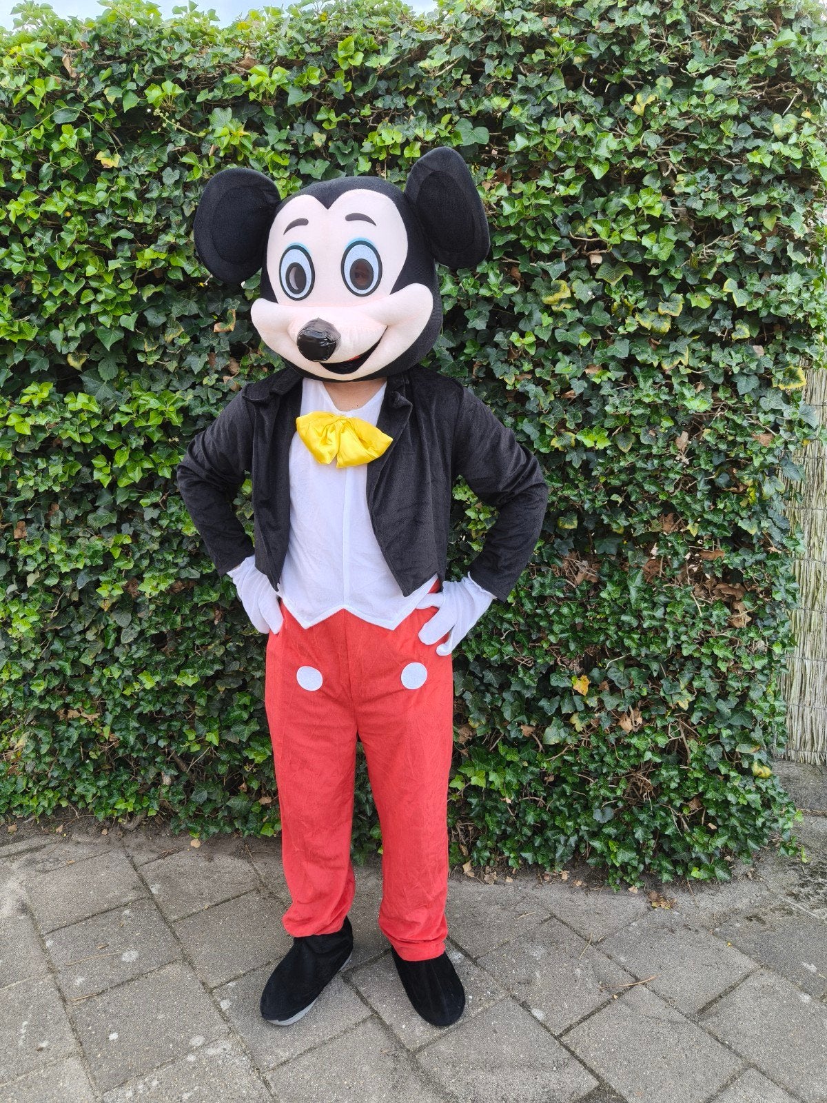Mickey Mouse Kostuum - Perfect voor Feestjes en Evenementen, Ophalen of Verzenden, Zo goed als nieuw, Pak of Jurk