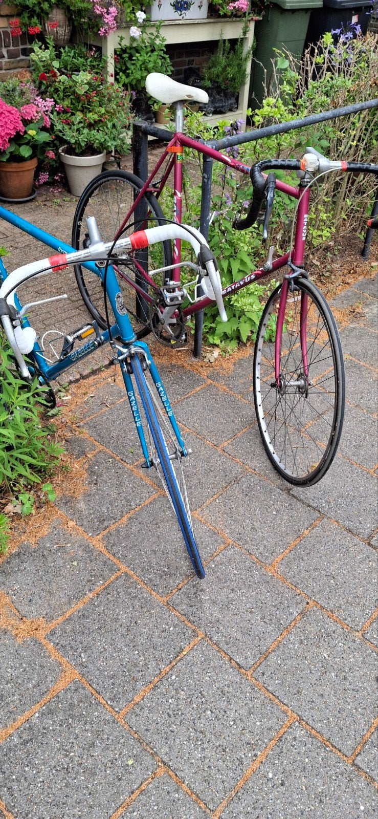racefietsen Batavus Course en Gazelle Formula, Fietsen en Brommers, Fietsen | Racefietsen, Ophalen, Gebruikt, Aluminium, Meer dan 20 versnellingen