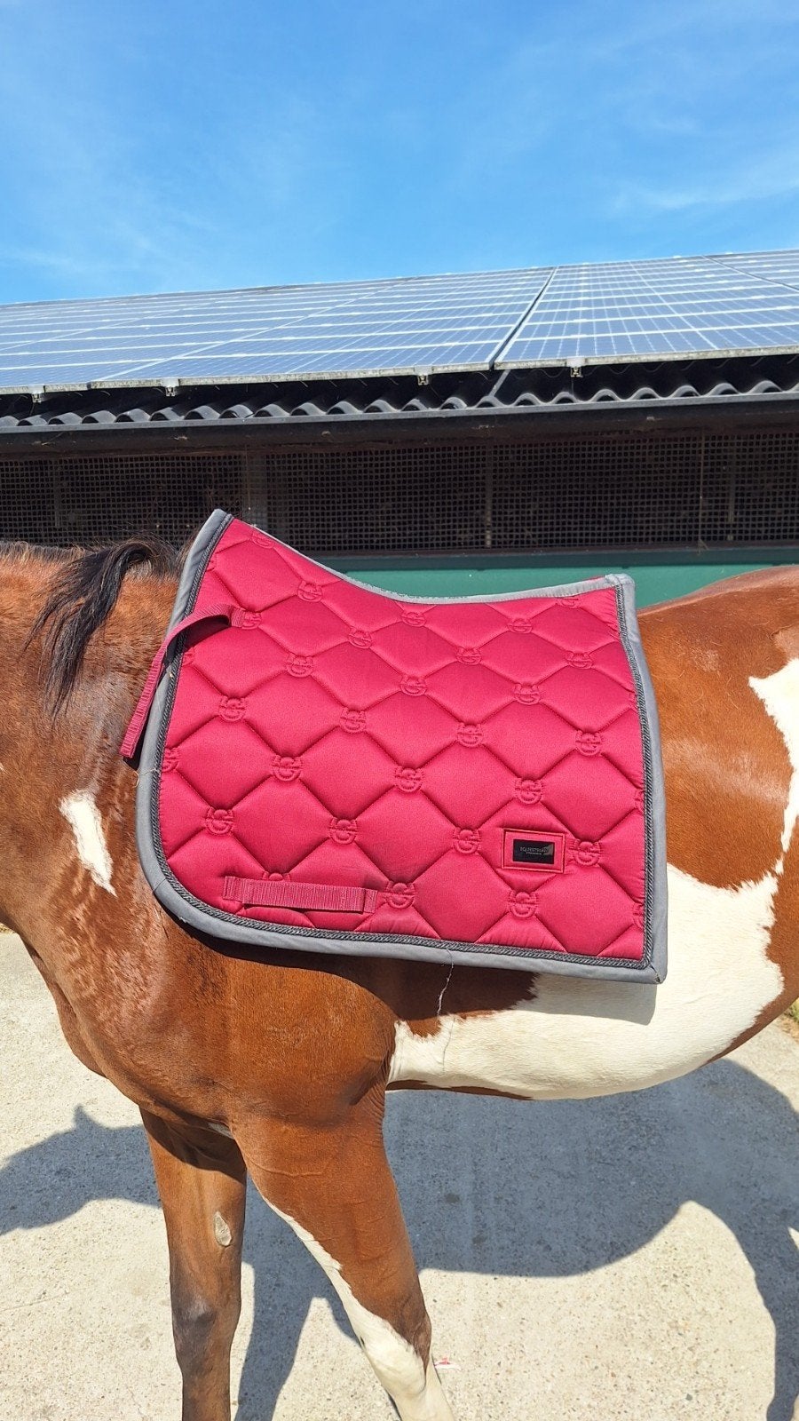 Equestrian Stockholm Wild Rose, Dieren en Toebehoren, Full (L), Dressuurdekje, Equestrian Stockholm, Ophalen of Verzenden