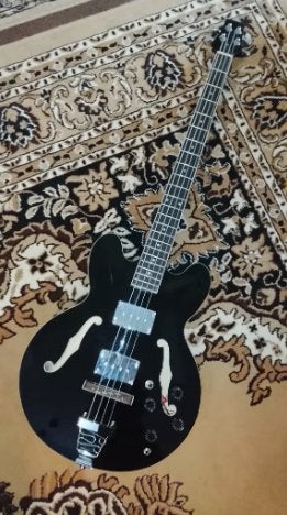 Bass gitaar Hollowbody, Ophalen, Zo goed als nieuw, Semi-akoestisch