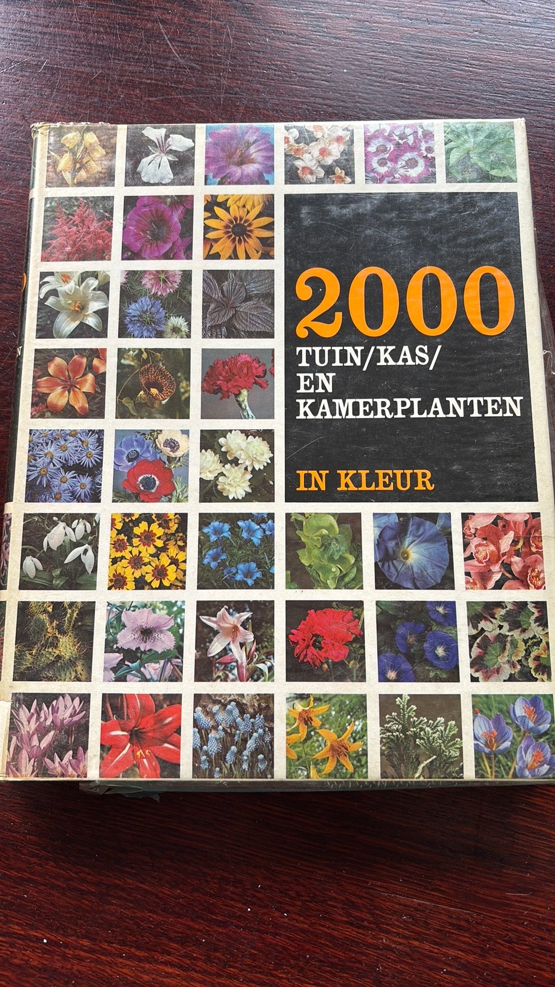 2000 tuin/kas/ en kamerplanten in kleur - Roy Hay en Patrick, Boeken, Ophalen of Verzenden, Zo goed als nieuw