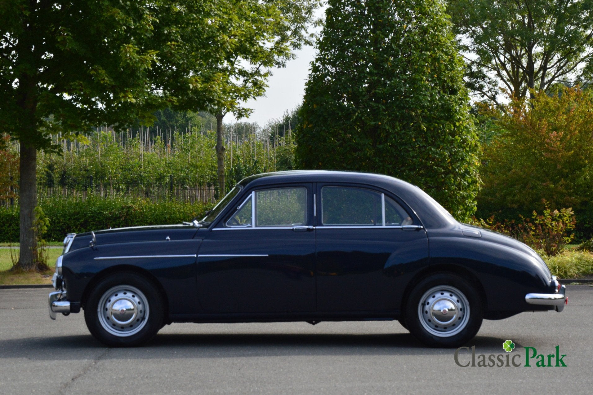 MG Magnette Saloon (bj 1958), foto 2