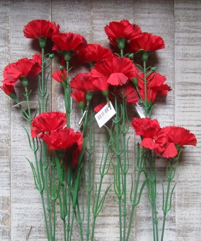 ANJER - KUNST - ROOD - WIT € 2,00, Ophalen of Verzenden, Nieuw
