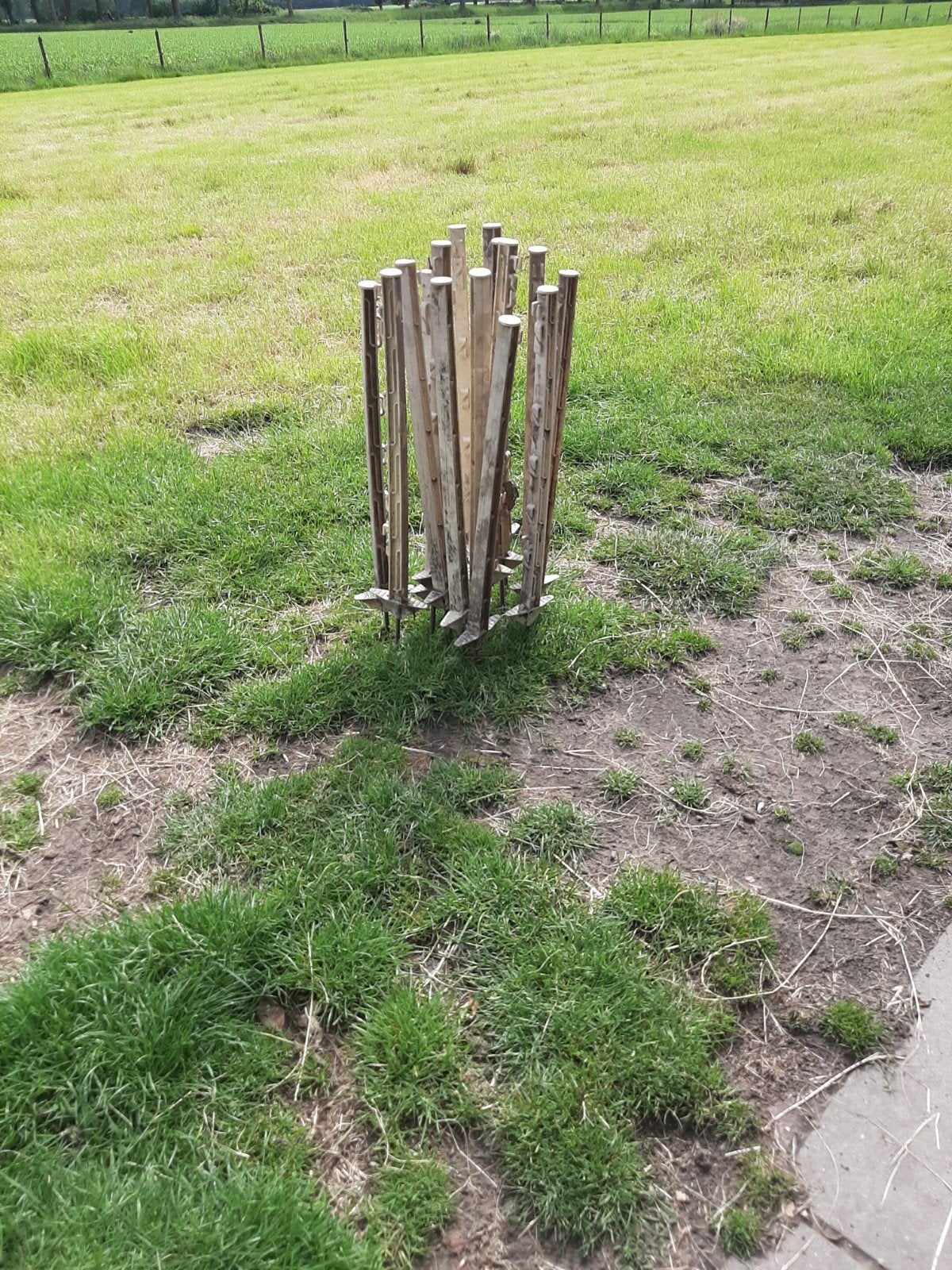 Weide steekpalen, Ophalen, IJzer