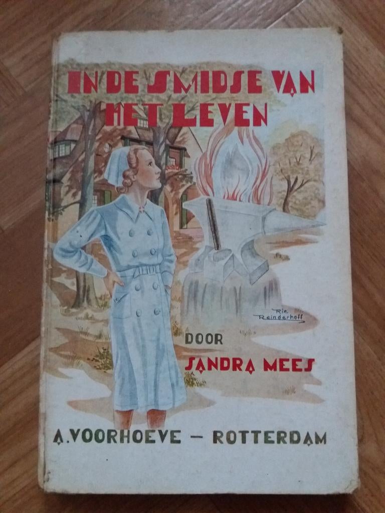 "In de smidse van het leven", geschreven door : Sandra Mees., Boeken, Kinderboeken | Jeugd | 13 jaar en ouder, Ophalen of Verzenden