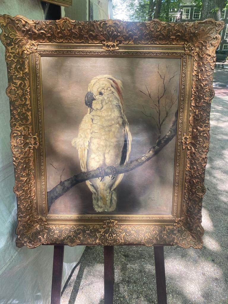 Olieverf Schilderij Kaketoe - Jaren '30, Ophalen of Verzenden