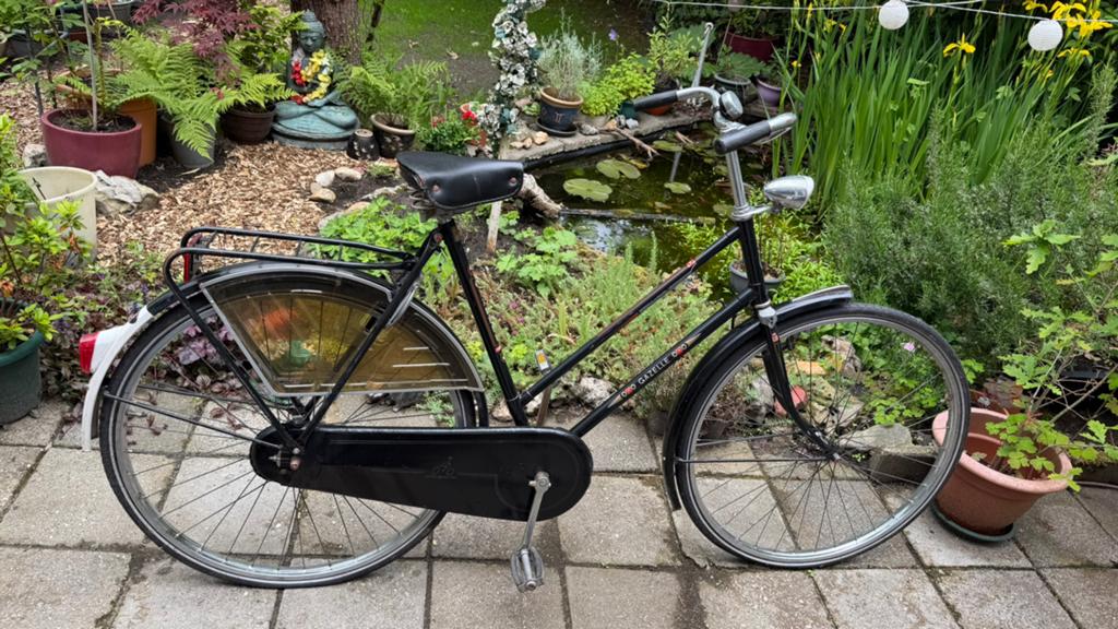 Vintage Gazelle Populair fietsen 1978-1983 + een gratis, Fietsen en Brommers, Fietsen | Oldtimers, 59 cm of meer, Ophalen