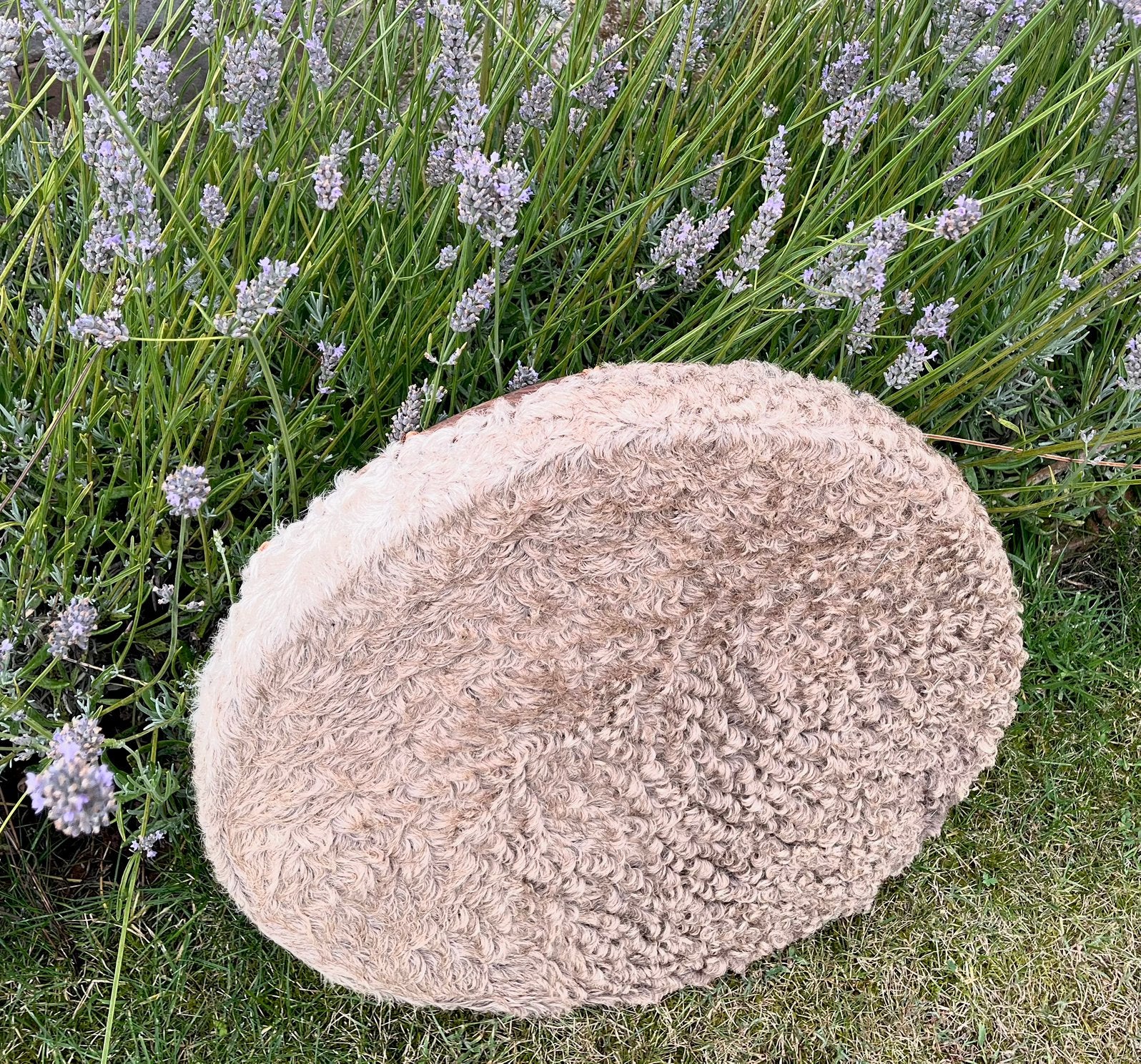Sjamaan drum Kameel 55cm. , met drumstok., Ophalen of Verzenden, Nieuw, Melodische percussie