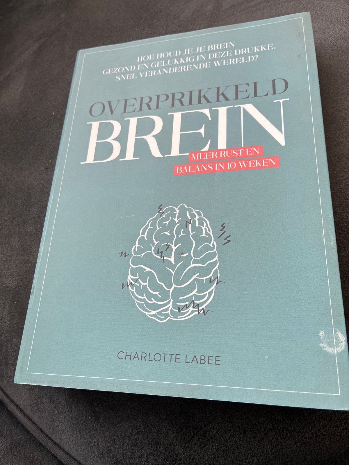 Overprikkeld Brein: Meer rust en balans in 10 weken, Boeken, Ophalen of Verzenden, Zo goed als nieuw, Klinische psychologie