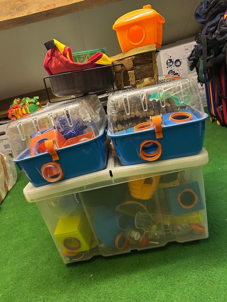 Hamster spulletjes, Dieren en Toebehoren, Minder dan 60 cm, Kooi, Minder dan 75 cm, Ophalen of Verzenden