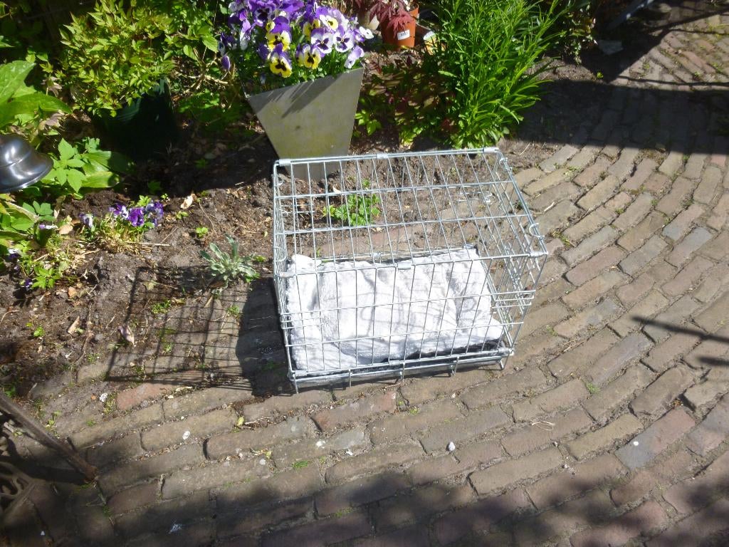 hond/kat   bench/kooi, Dieren en Toebehoren, Ophalen, Gebruikt