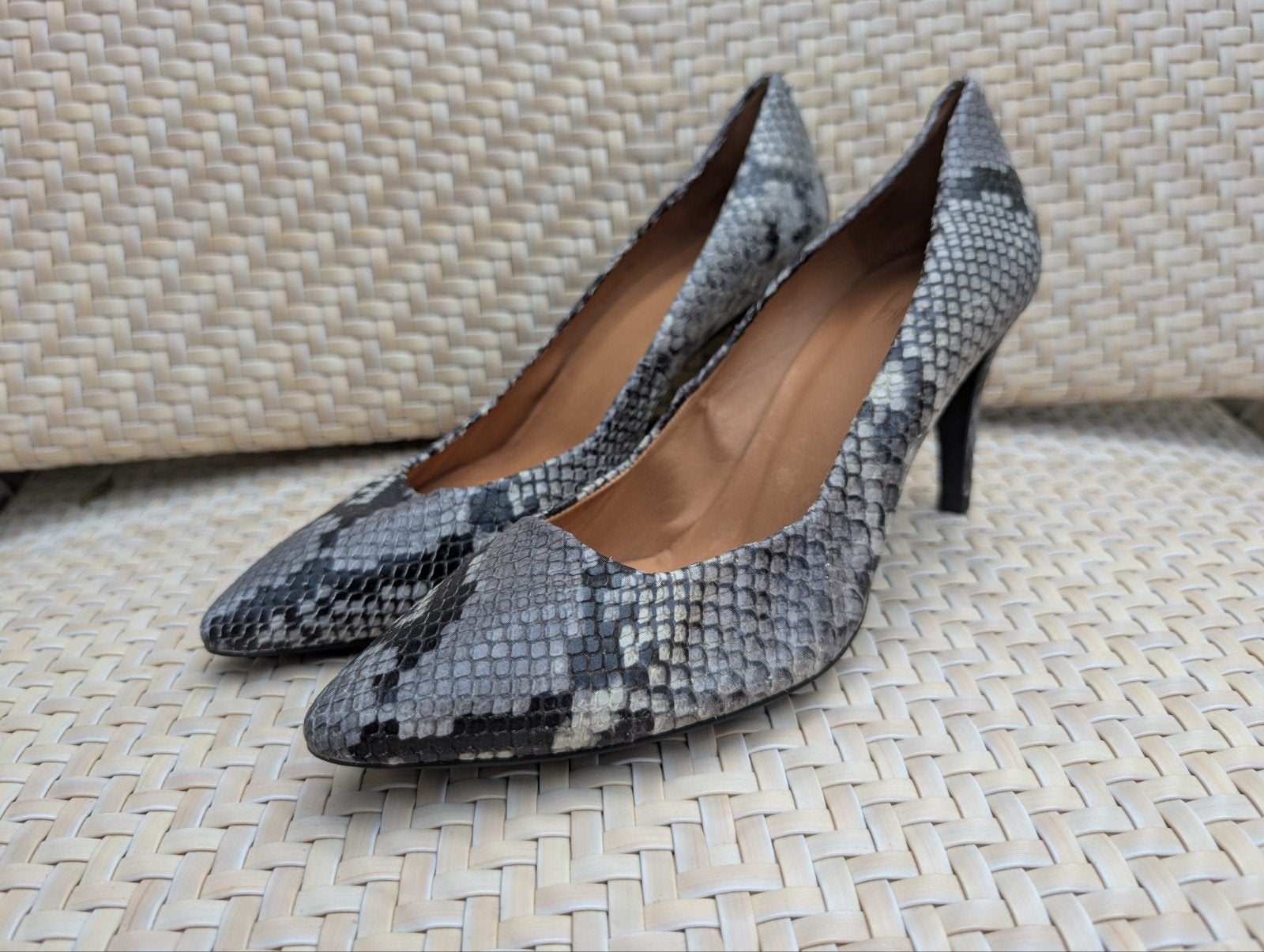 Billi Bi Pumps met Slangenprint - Maat 40, Kleding | Dames, Ophalen of Verzenden, Zo goed als nieuw, Grijs