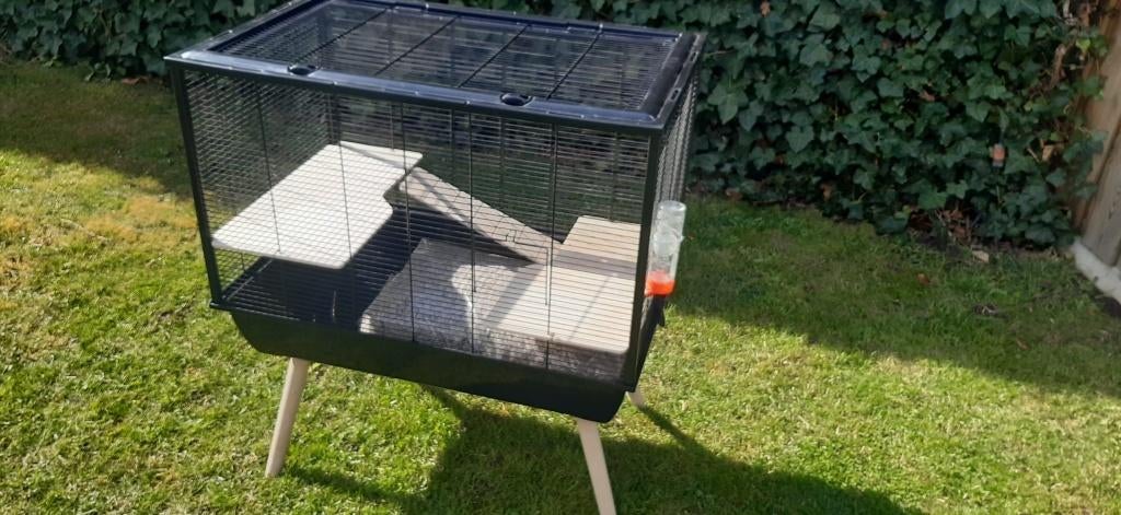 Knaagdieren hok/kooi, Dieren en Toebehoren, Ophalen, Kooi, Gebruikt, 60 tot 90 cm