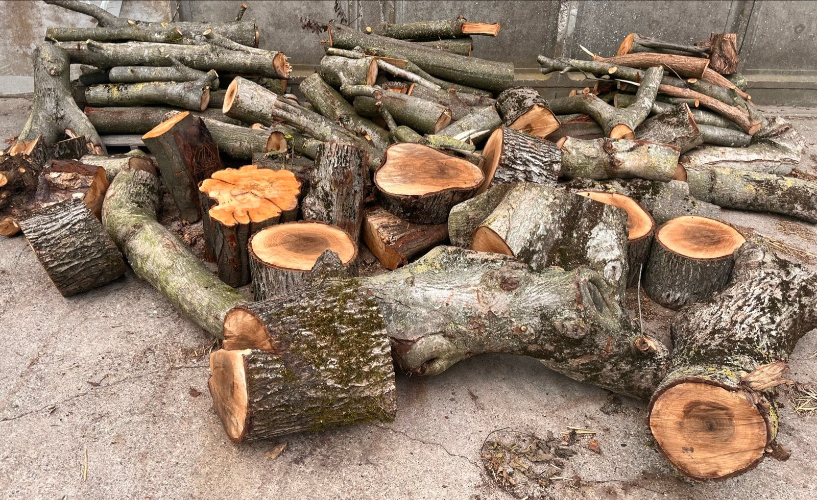 Diverse Houtblokken en Stammen - Brandhout, Tuin en Terras, 3 tot 6 m³, Ophalen, Overige houtsoorten, Blokken
