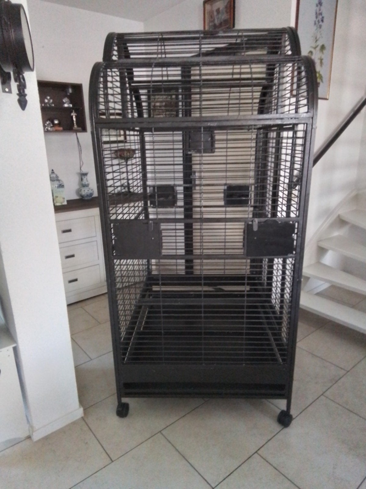Ik verkoop deze kooi om dat mijn papagaaien weg zijn, Meerdere dieren, Papegaai