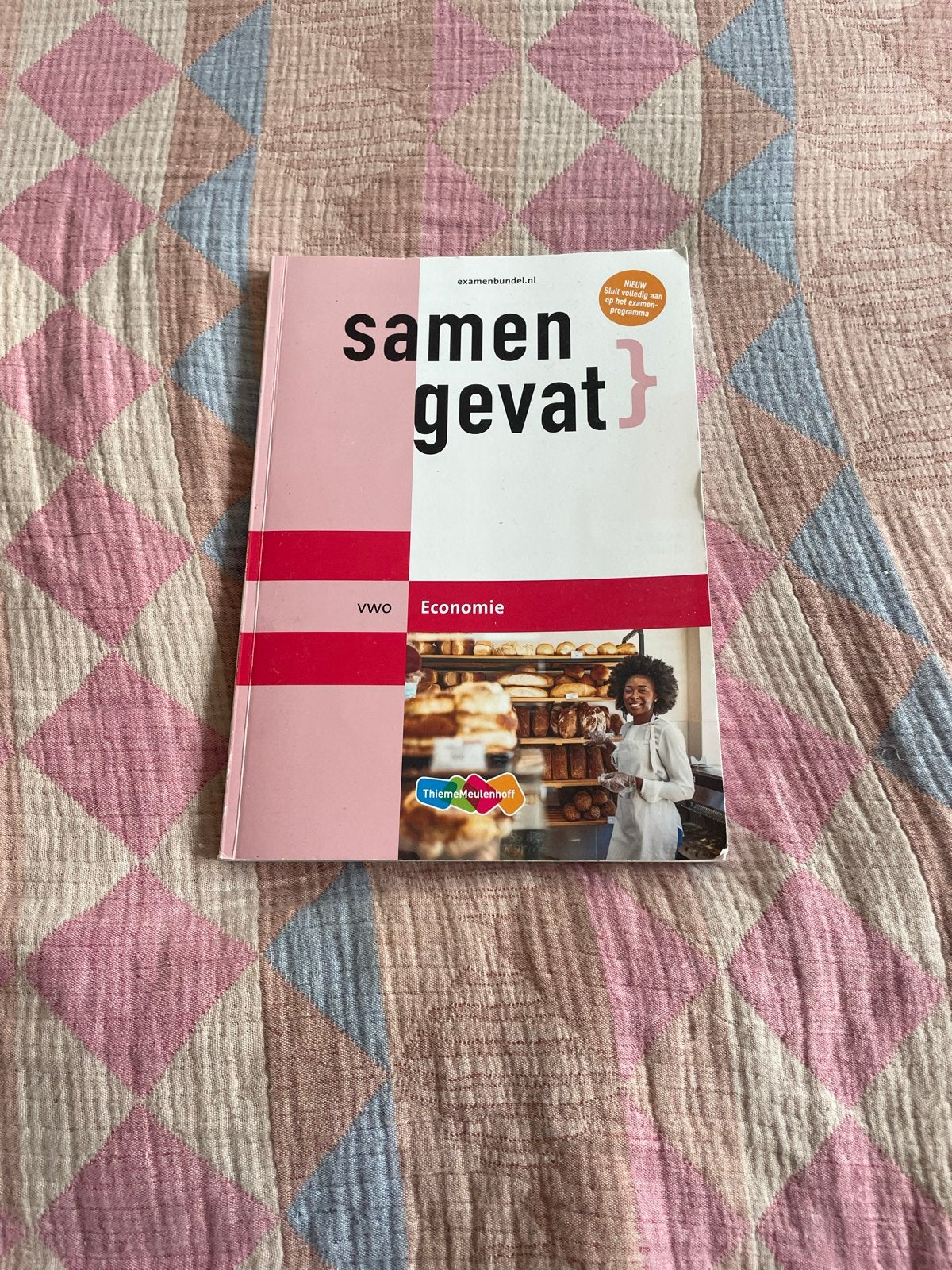 Samengevat vwo Economie - Examenvoorbereiding, Ophalen of Verzenden, Gamma, Zo goed als nieuw, Overige niveaus