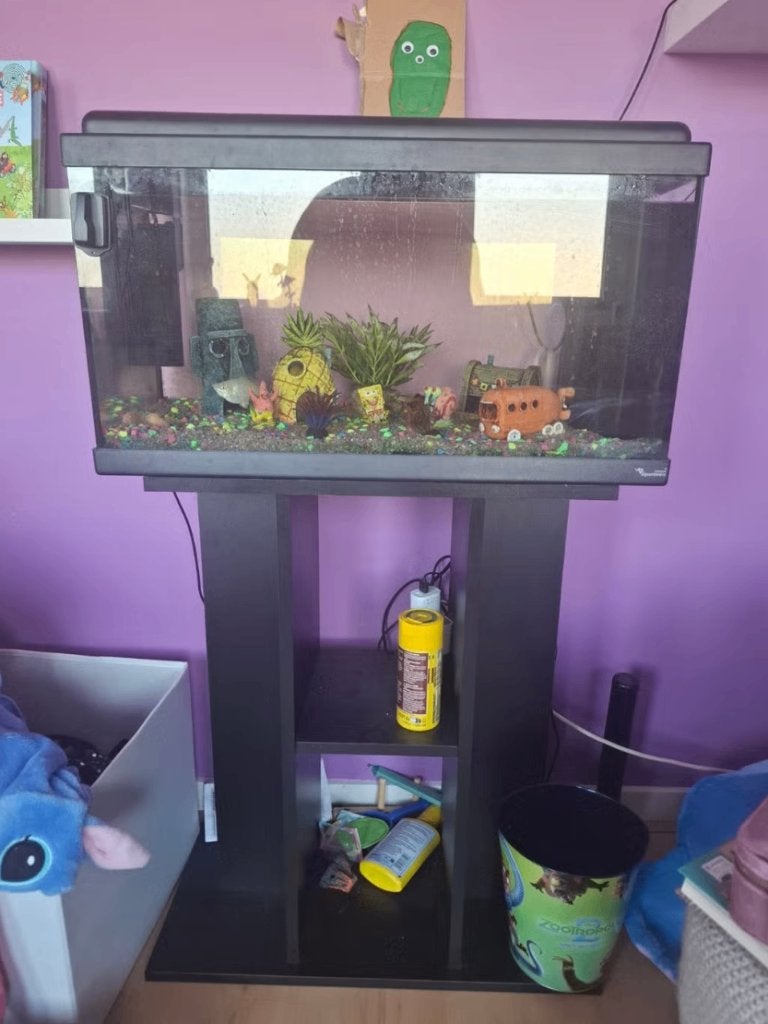 Aquarium (Spongebob) met toebehoren, Ophalen, Overige merken, Inclusief vissen, Gevuld zoetwateraquarium