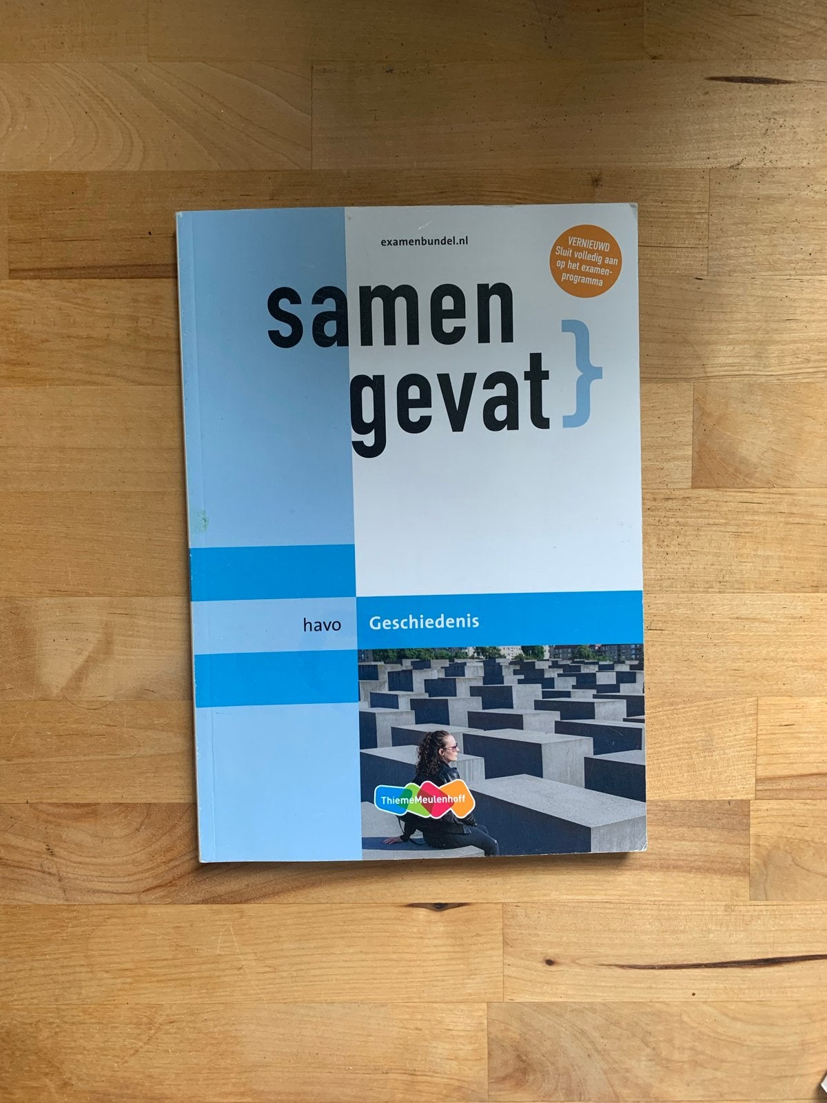 Samengevat Geschiedenis HAVO - Perfecte staat, Boeken, Schoolboeken, Ophalen of Verzenden, Zo goed als nieuw, HAVO, Geschiedenis