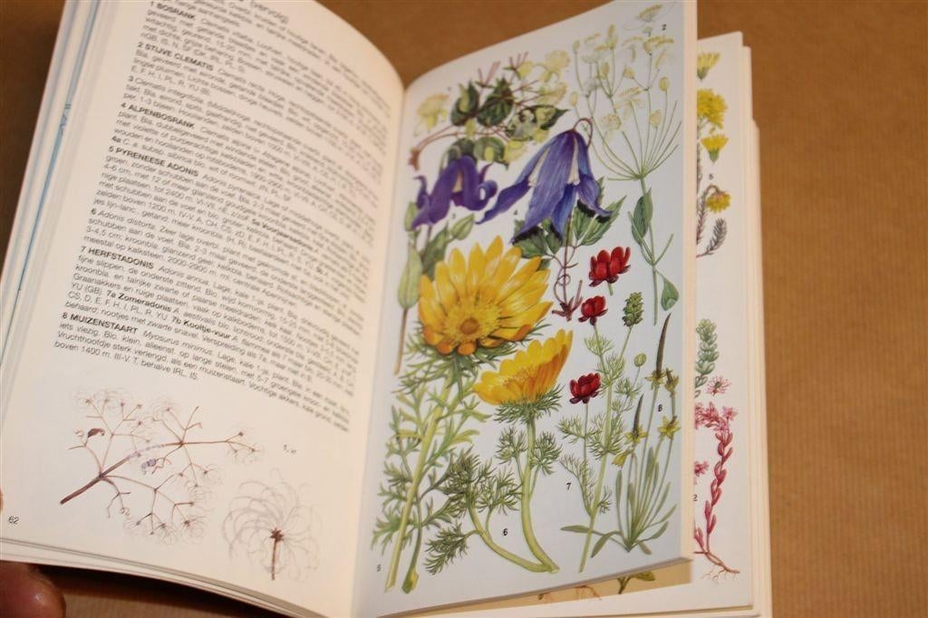 Bergflora van Europa — Rijk geïllustreerde Veldgids, Boeken, Natuur, Ophalen of Verzenden, Gelezen, Vogels