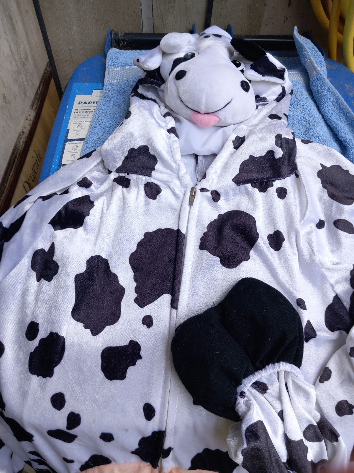 Koeienpak voor volwassenen - Carnaval/Feest, Ophalen of Verzenden, Gebruikt, 170 of groter, Jongen of Meisje