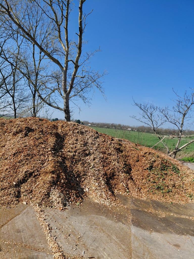 Verse houtsnippers voor tuin en verwarming, Tuin en Terras, Haardhout, 6 m³ of meer, Ophalen, Overige houtsoorten