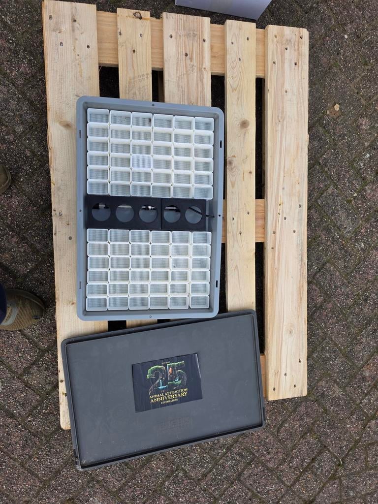 Larvenbak te koop nieuw, Ophalen of Verzenden, Nieuw, Overige typen