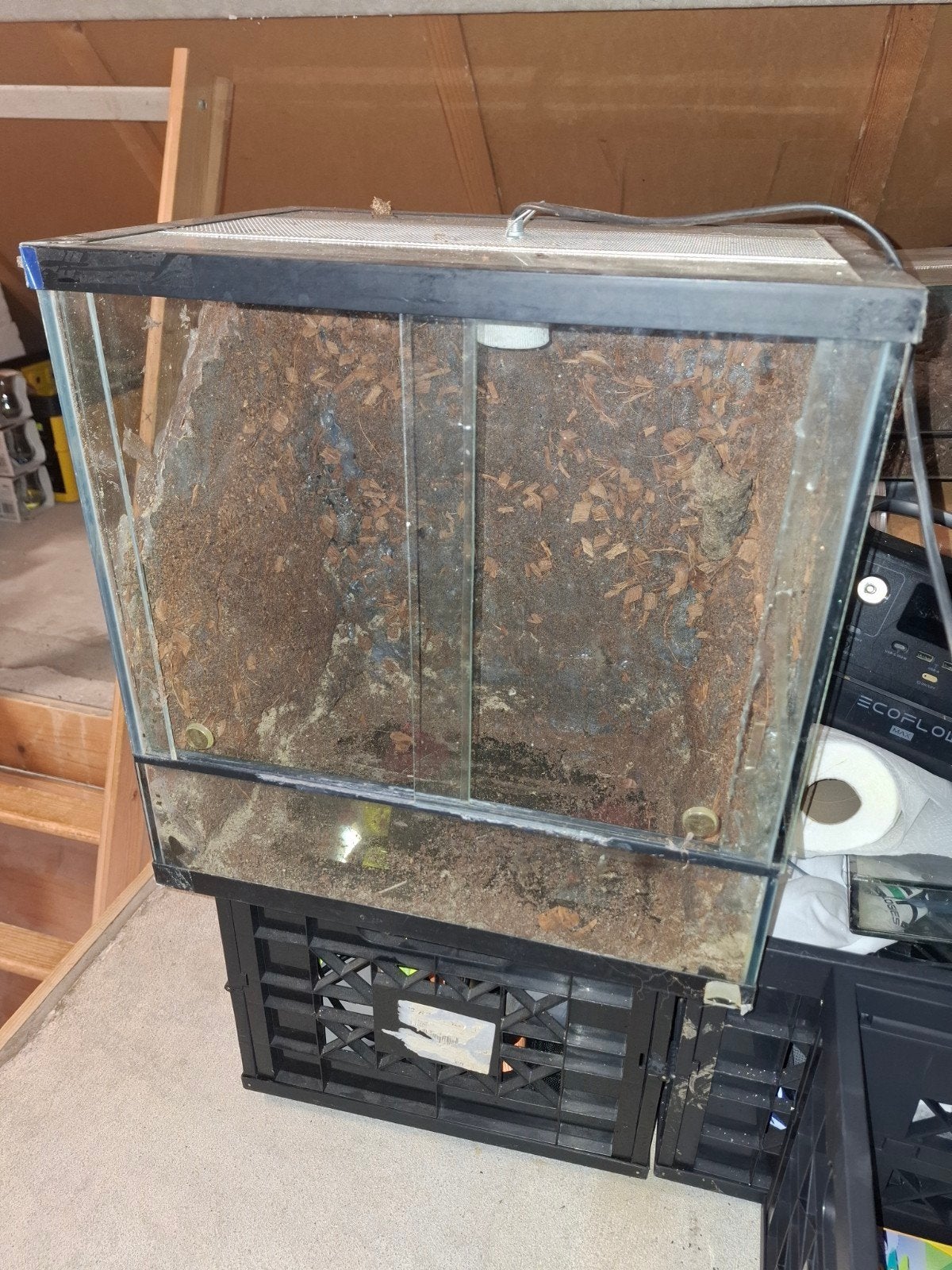 Terrarium BIEDEN, Ophalen of Verzenden