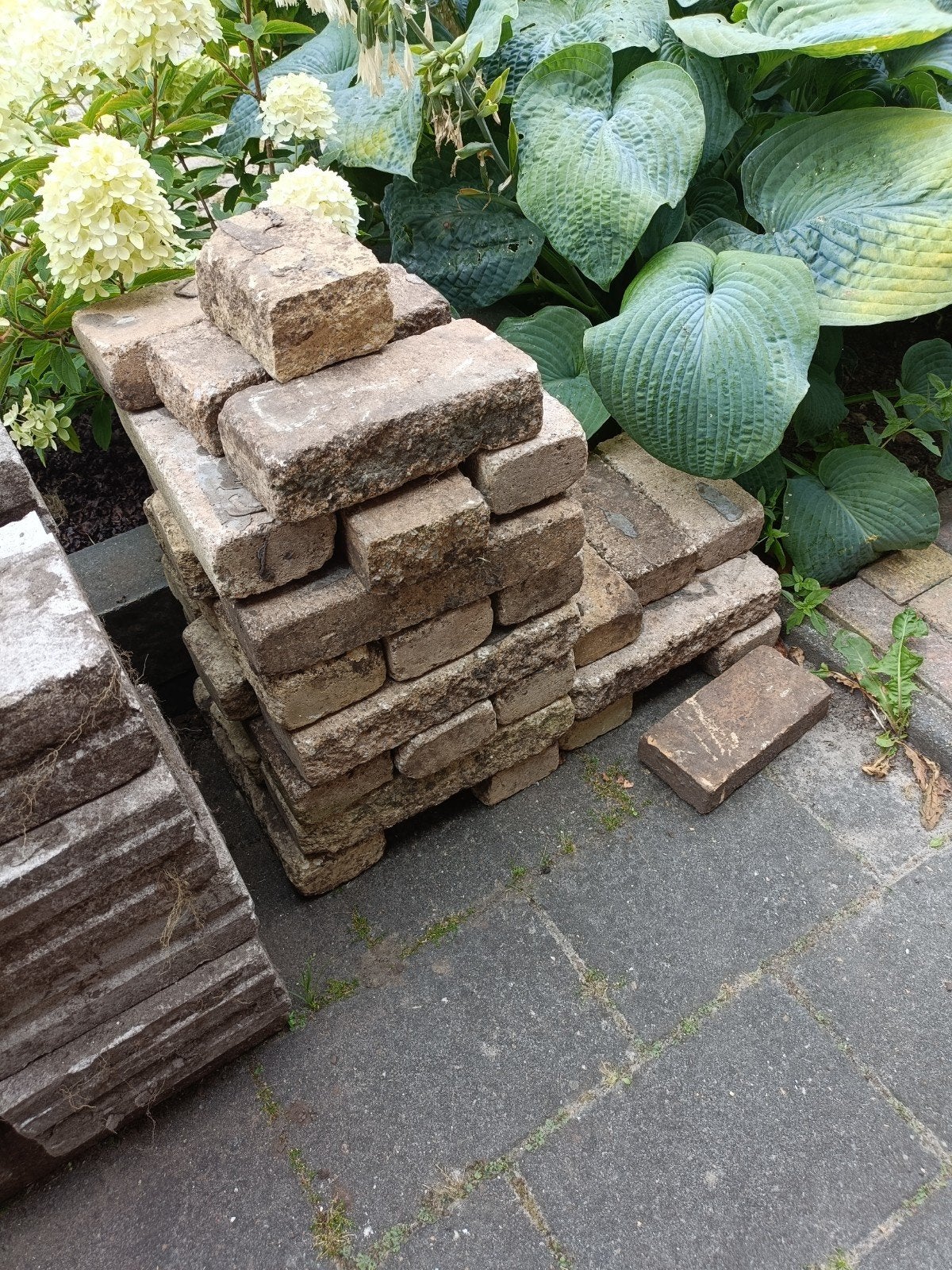 Gratis klinkers (+-30 stuks) - Schoneveld Oost, Ophalen, Gebruikt, Klinkers, Minder dan 5 m²