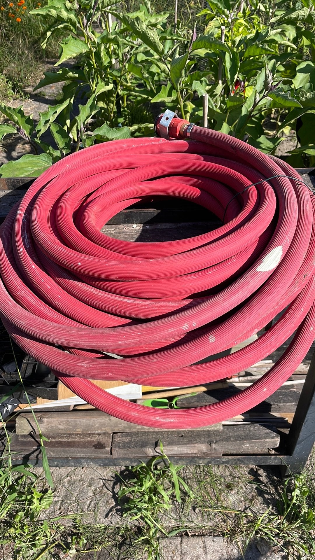 25 meter slang, Overige materialen, 6 meter of meer, Overige typen, Ophalen of Verzenden