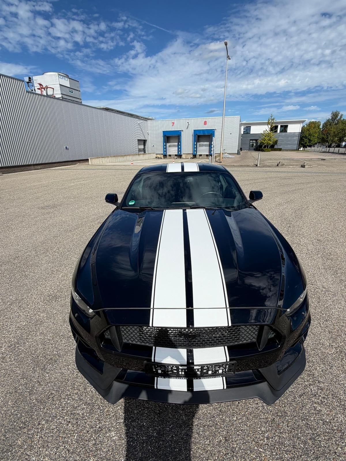 Foto 20 van Ford mustang  5.0gt fastback  2017