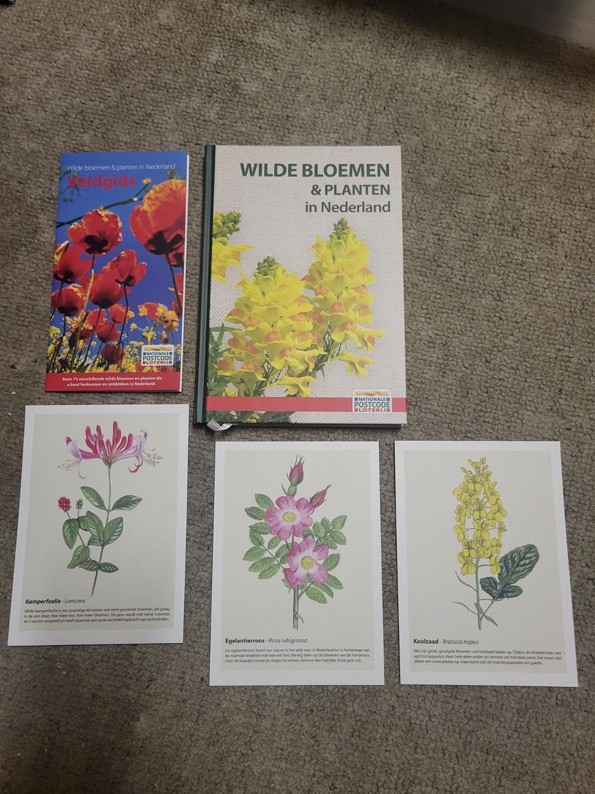 Wilde Bloemen & Planten in Nederland + Veldgids & Kaarten, Ophalen of Verzenden, Zo goed als nieuw, Bloemen, Planten en Bomen