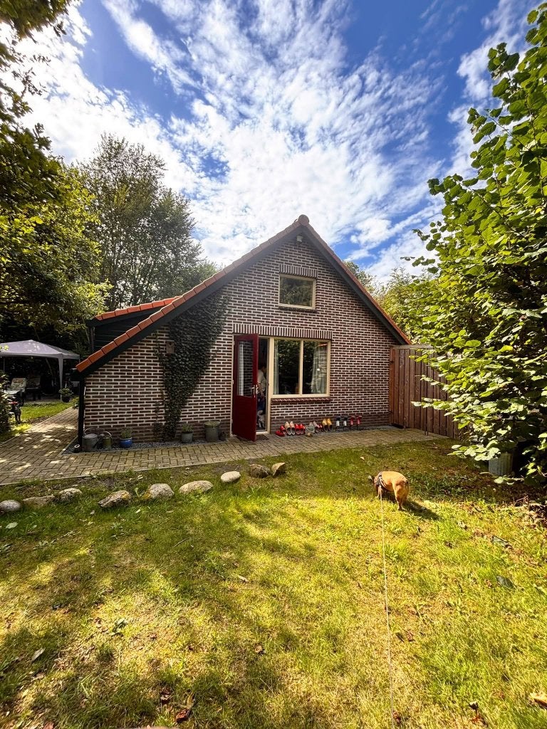vakantiehuis / natuurhuisje, Vakantie, In bos, Dorp, Overige typen, Groningen