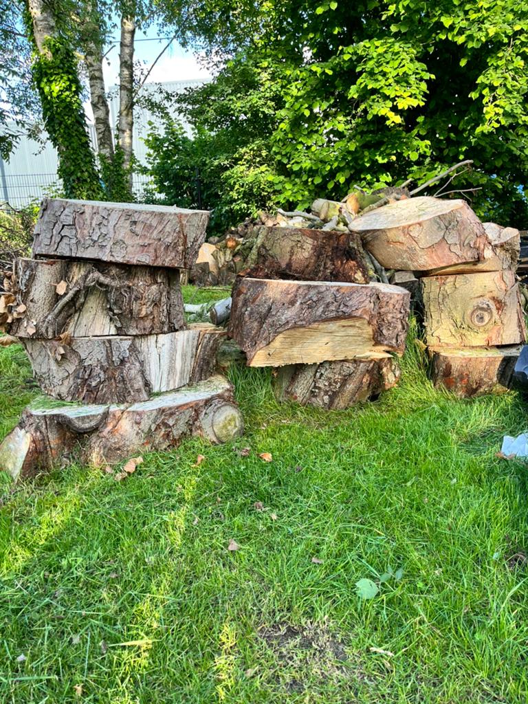 Div soorten Haardhout, Tuin en Terras, Haardhout, 6 m³ of meer, Ophalen, Overige houtsoorten, Stammen