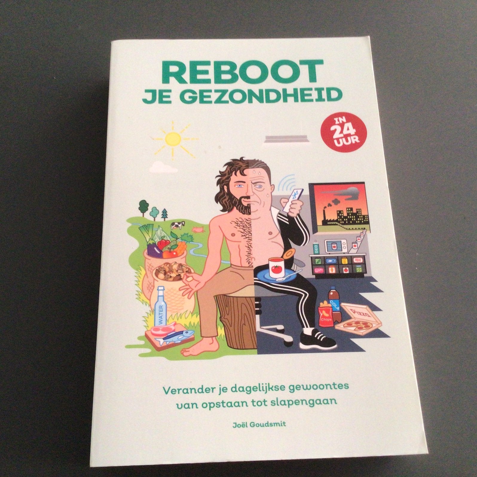 Joël Goudsmit - Reboot je gezondheid in 24 uur, Ophalen of Verzenden, Zo goed als nieuw, Gezondheid en Conditie, Joël Goudsmit