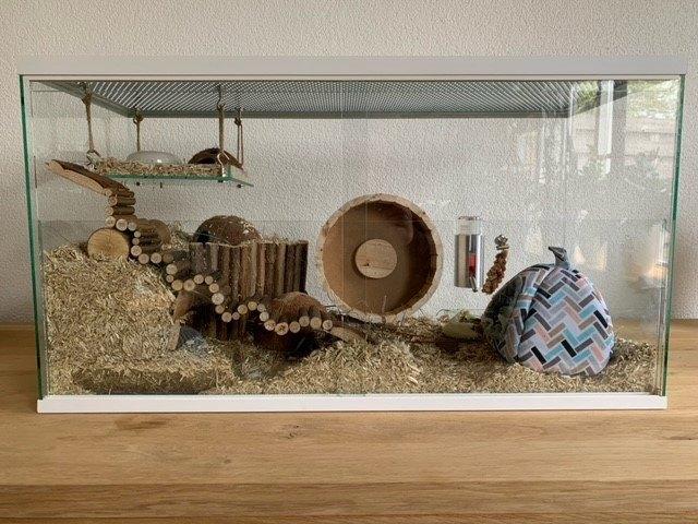 Hamster terrarium zonder plateaus met schuifruit, Dieren en Toebehoren, Knaagdieren en Konijnen | Hokken en Kooien, Minder dan 60 cm