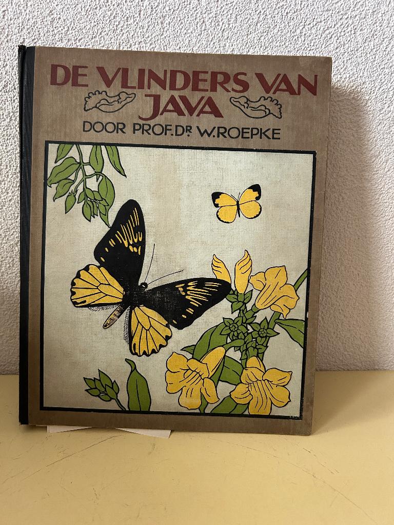 vintage inplakboek getiteld "De Vlinders van Java" uit 1932, Antiek en Kunst, Antiek | Boeken en Bijbels, Ophalen of Verzenden