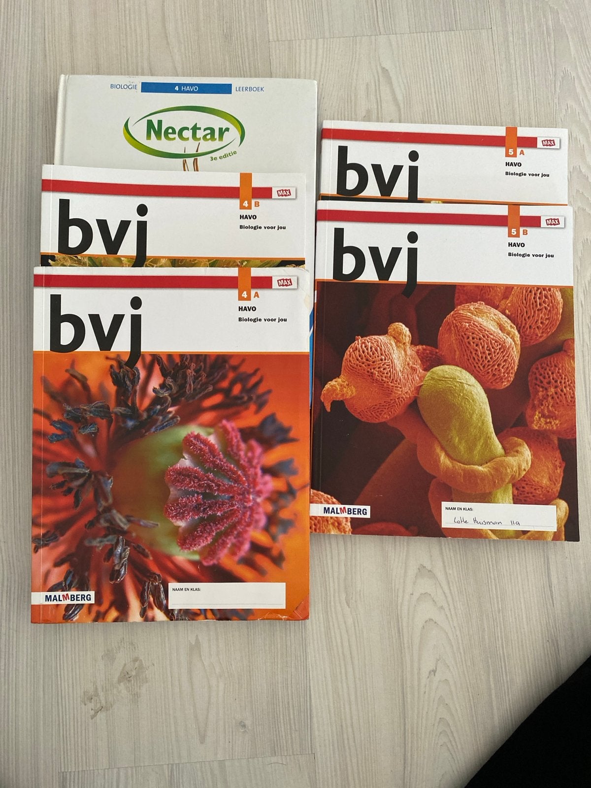 Biologie boeken HAVO 4 & 5 (Nectar en Bvj), Ophalen of Verzenden, Gelezen, HAVO, Biologie