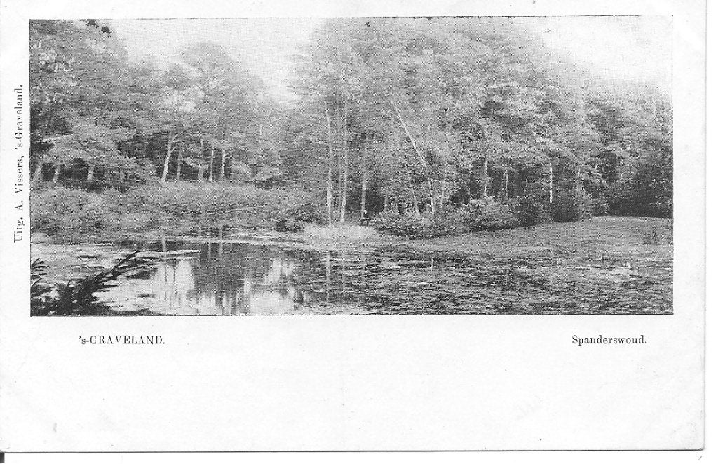 Oude Ansichtkaart 's-Graveland Spanderswoud, Ophalen of Verzenden, Voor 1920, Ongelopen, Noord-Holland