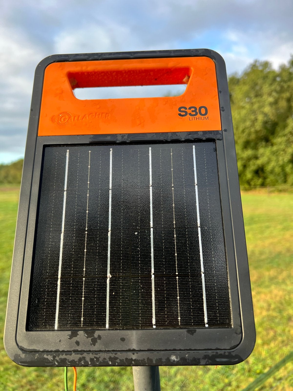 Gallagher S30 weideklok  lithium  zgan, Dieren en Toebehoren