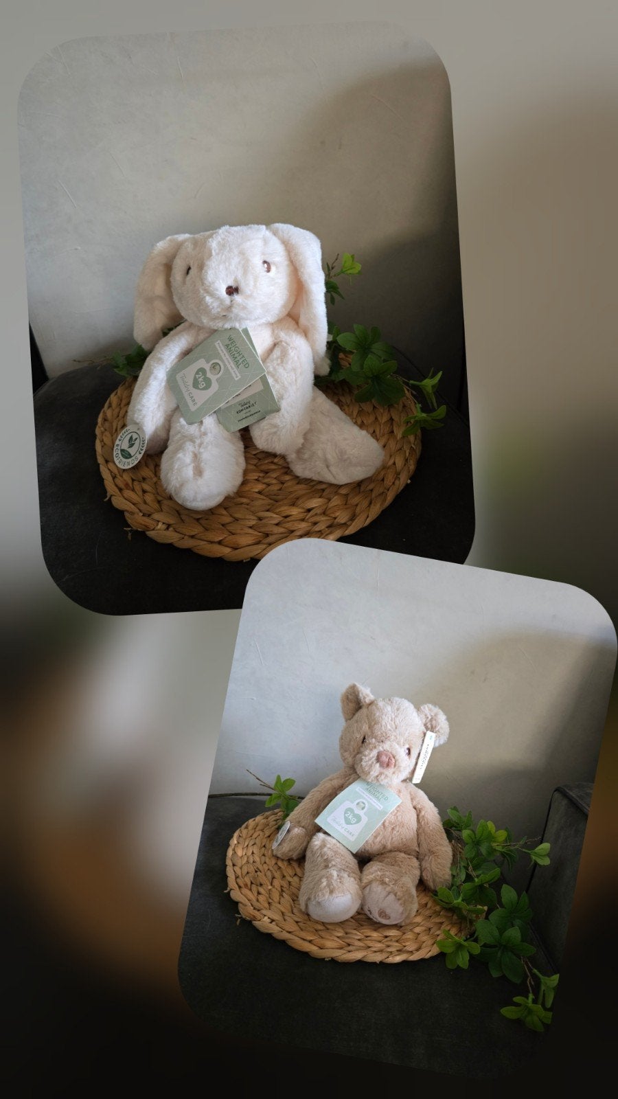 Teddykompaniet verzwaringsknuffel 2kg -  Beer of Konijn, Overige merken, Beer, Nieuw, Ophalen of Verzenden
