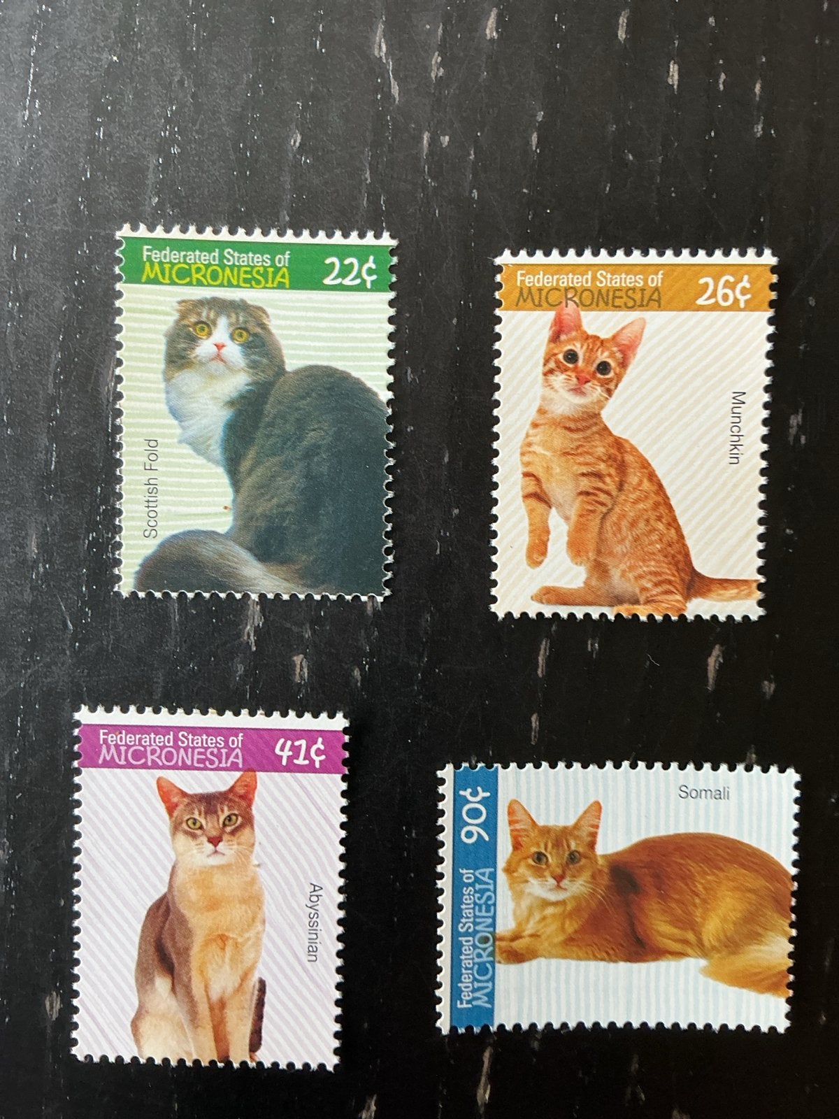 Postzegels Micronesia - Kattenrassen (4 stuks), Ophalen of Verzenden