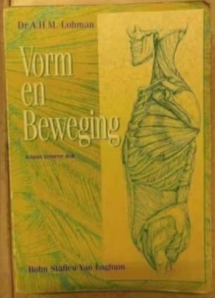 Vorm en beweging; Lohman; ISBN 9031319473; fysiotherapie, Ophalen of Verzenden, Beta, Gelezen, HBO