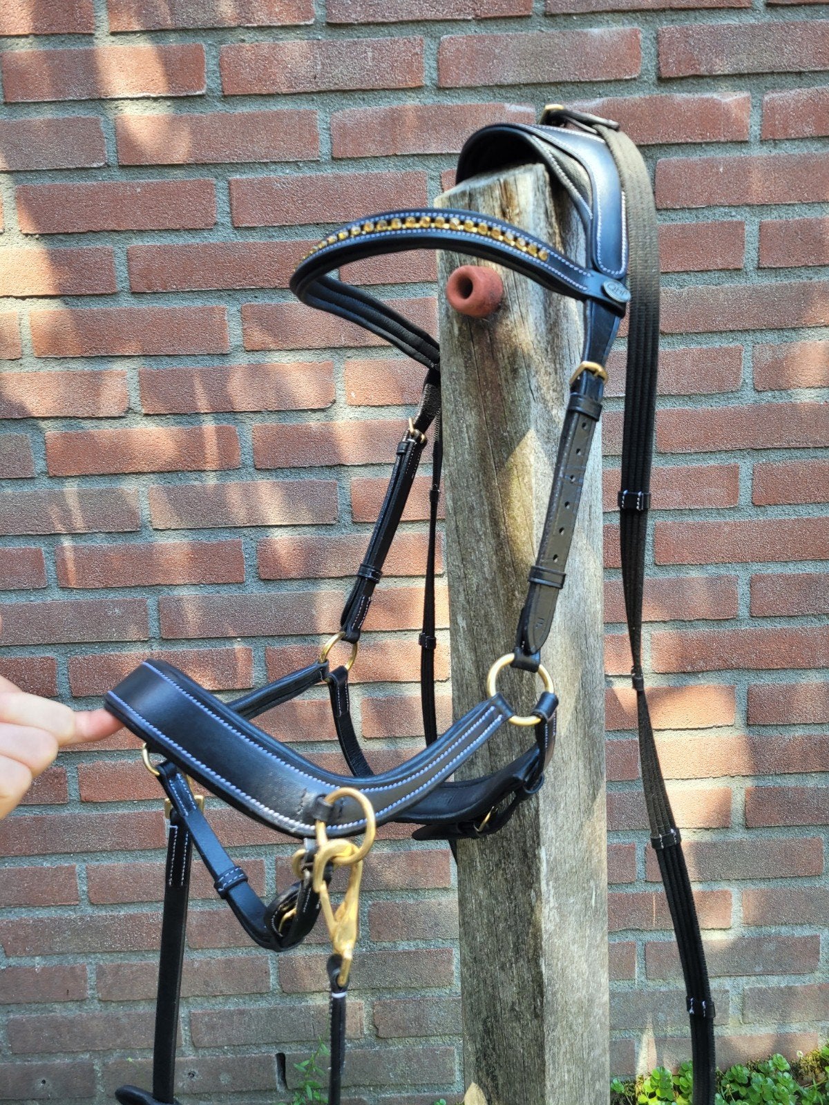 Bitloos hoofdstel qhp maat full, Hoofdstel, Nieuw, Ophalen of Verzenden, Zwart