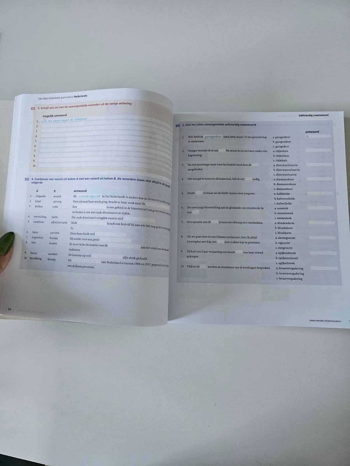 Van Dale Oefenboek Grammatica Nederlands A1-B2, Non-fictie, Van Dale, Nederlands, Ophalen of Verzenden