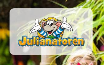 Julianatoren, Tickets en Kaartjes, Recreatie | Pretparken en Attractieparken, Eén persoon, Ticket of Toegangskaart