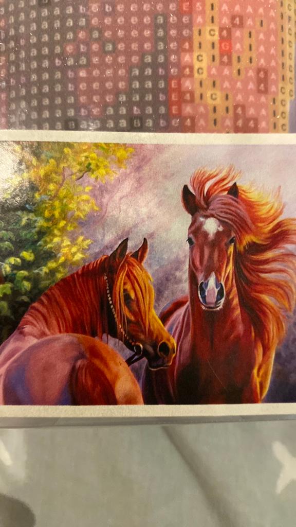 Diamant painting paarden, Ophalen, Zo goed als nieuw, Knutselwerk