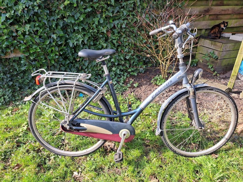 Batavus damesfiets - Comfortabel en betrouwbaar, Fietsen en Brommers, Fietsen | Dames | Damesfietsen, Versnellingen, Batavus, Ophalen of Verzenden