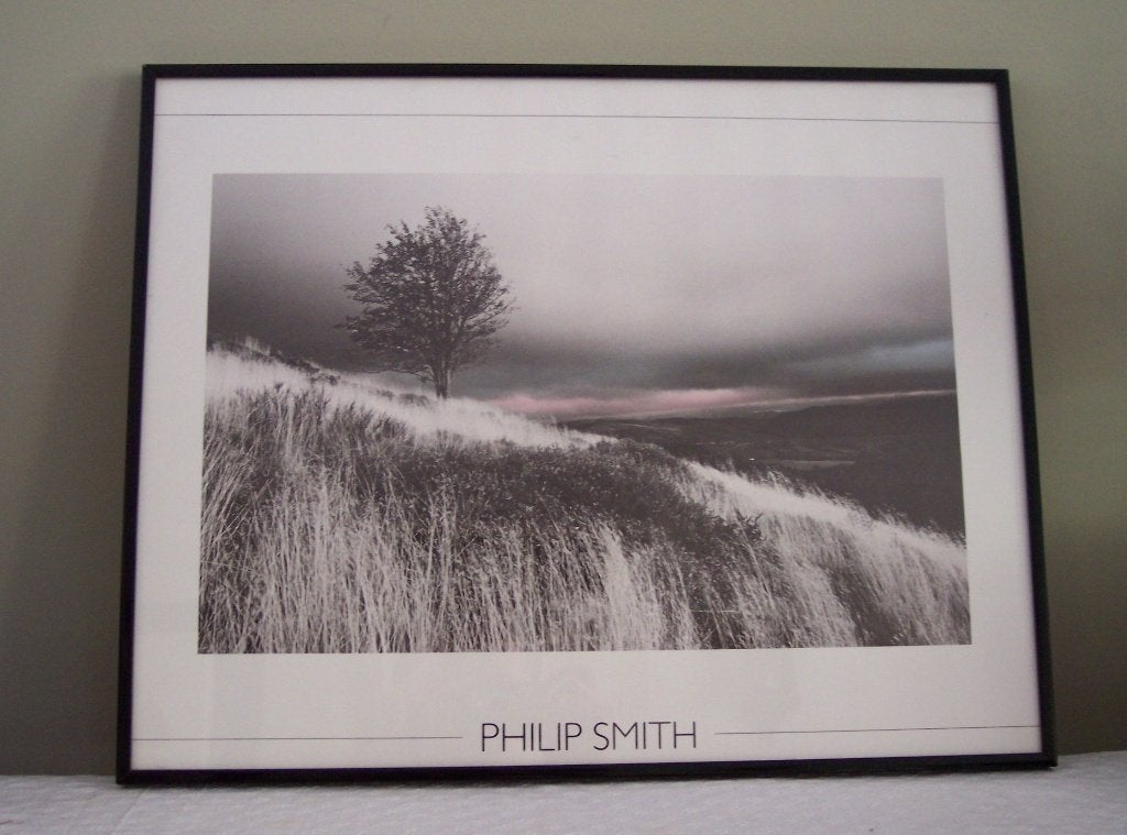 Schilderij Philip Smith met zwarte lijst - 40x50cm ( Jola ), Gebruikt, Ophalen of Verzenden, Schilderij, 5 – 50