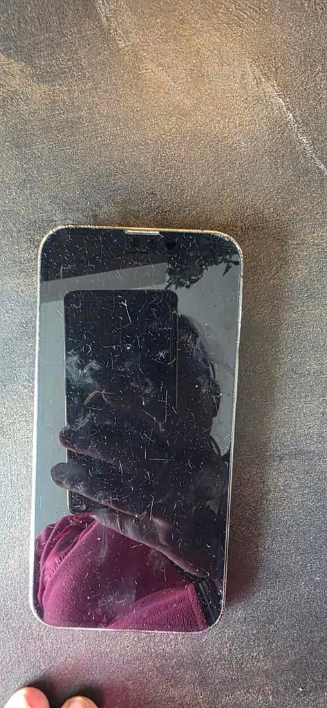 Goed werkende iPhone 13 Pro met gebruikerssporen, Telecommunicatie, Mobiele telefoons | Apple iPhone, Gebruikt, 89 %, Zwart, IPhone 13 Pro